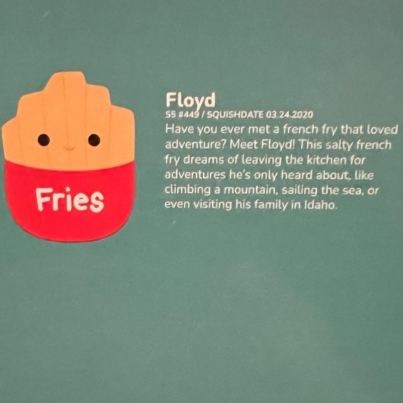 🌸 2/$18 or 3/$25 🌸 NWOT Floyd the Fries Squishmallow 5in - Picture 5 of 5